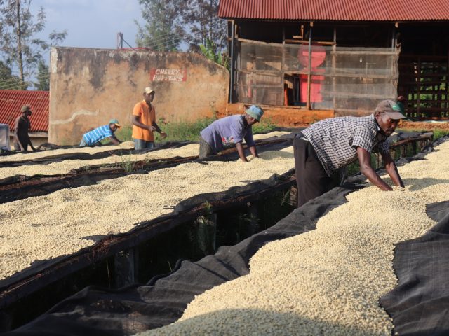 Drying tables
