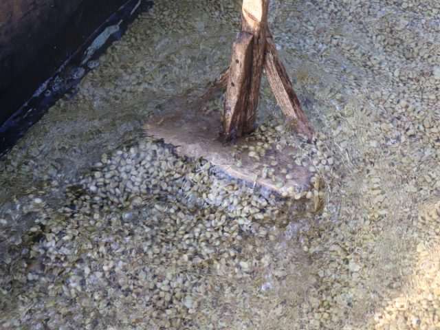 Washing channels
