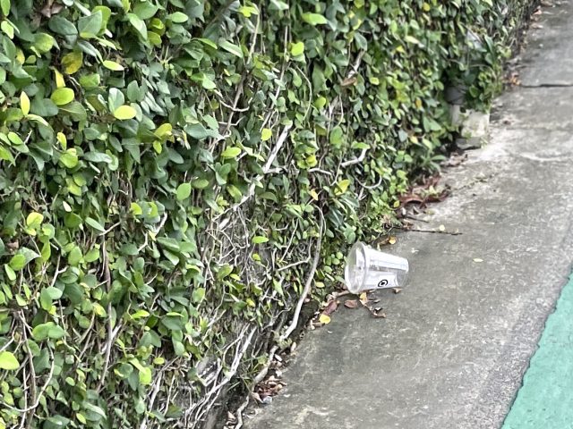 発見してしまいました