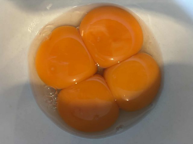 egg