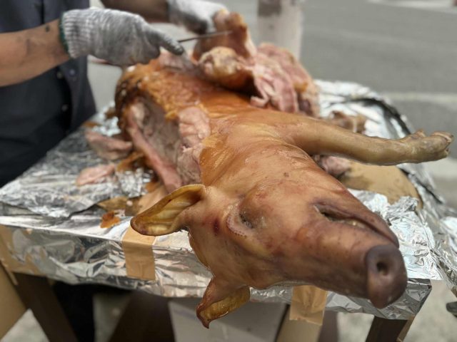 c99a01b9-89f9-45de-afa2-ba3f9f4169e2