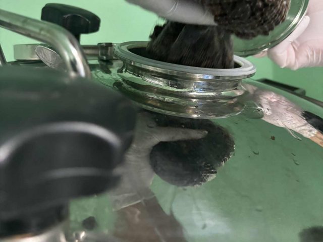 dd901f47-7a13-4900-9b27-04e14a859c1b