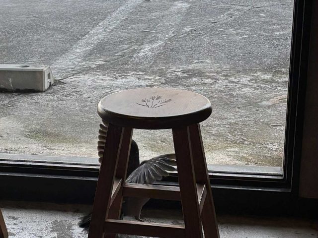 バナナ食べていないな。