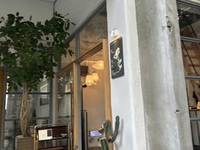 気持ちの良いお昼頃のほんのひと時